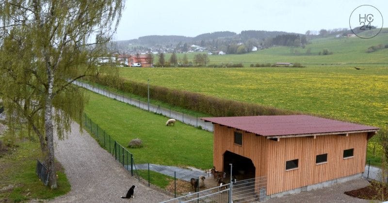 property detail images