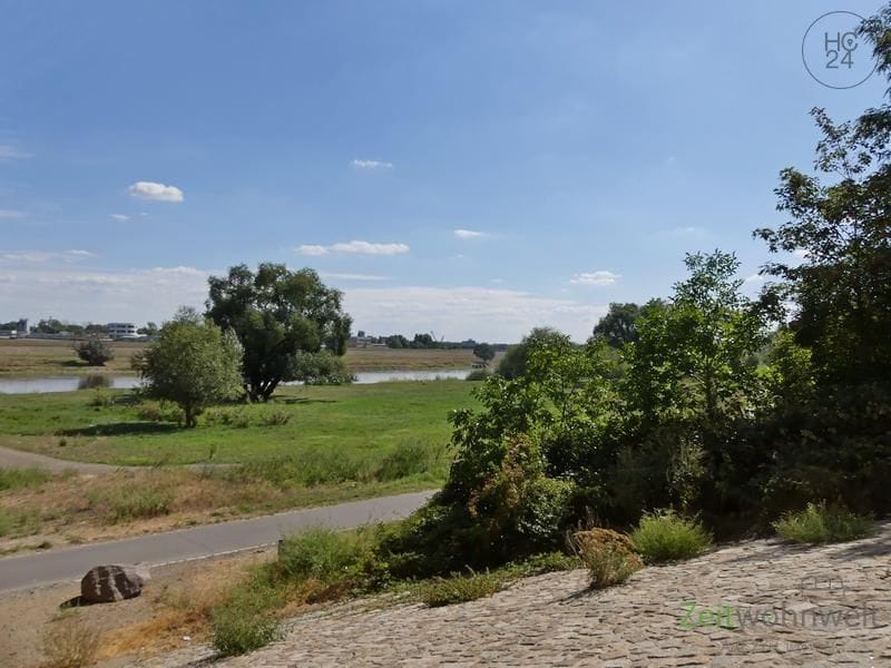 property detail images