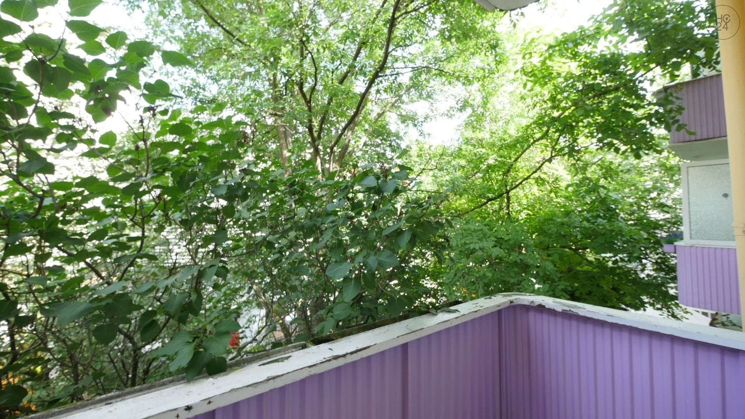 property detail images