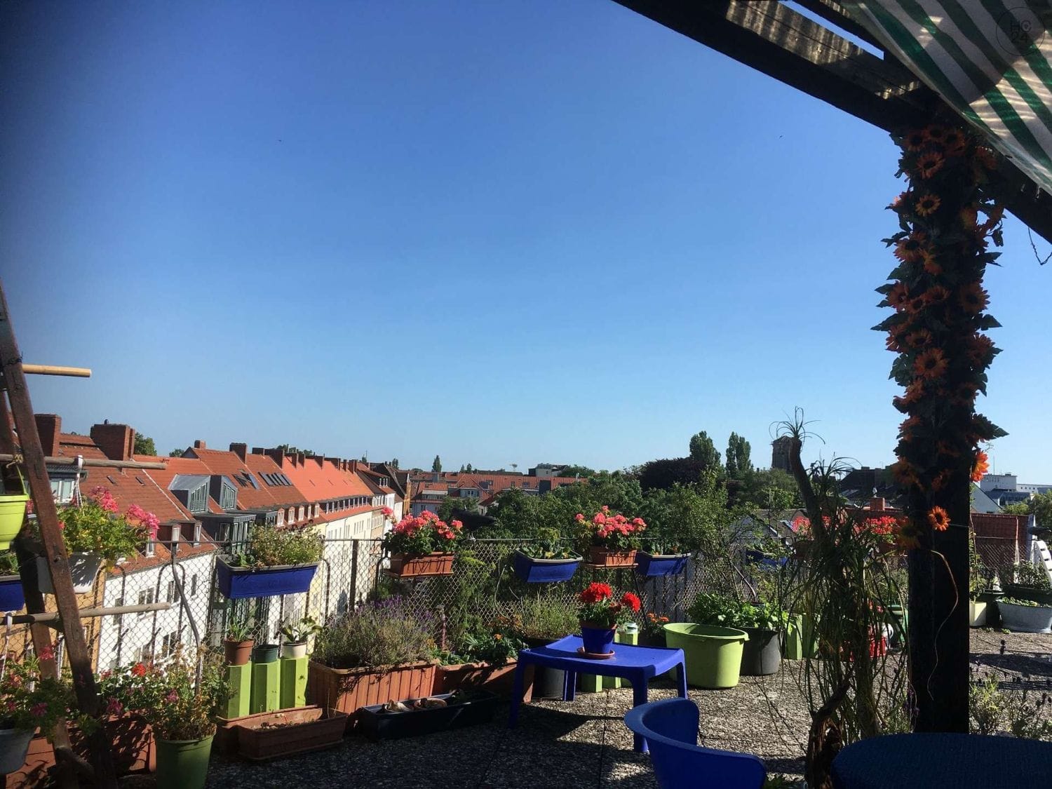 property detail images