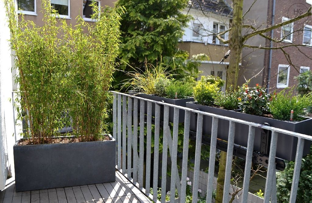 property detail images