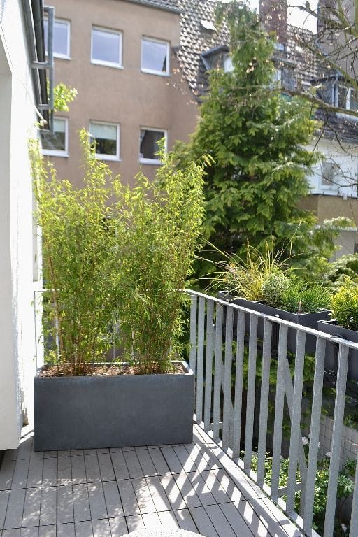 property detail images