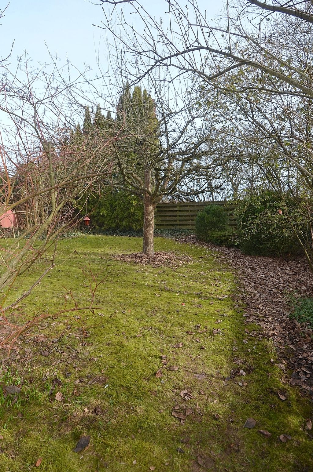 property detail images