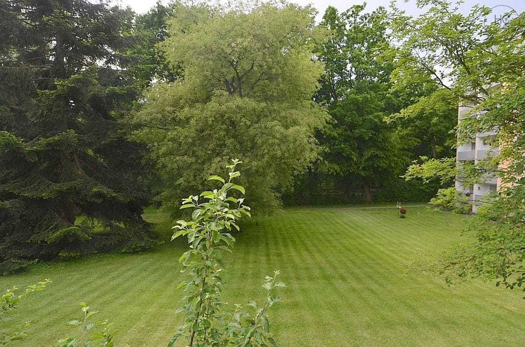 property detail images