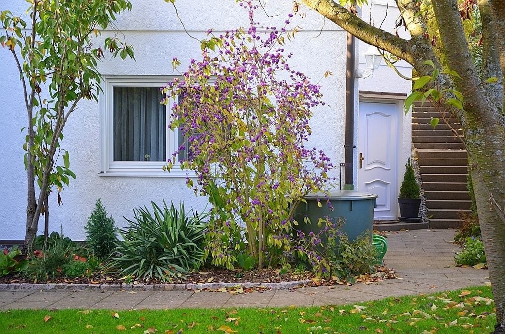 property detail images