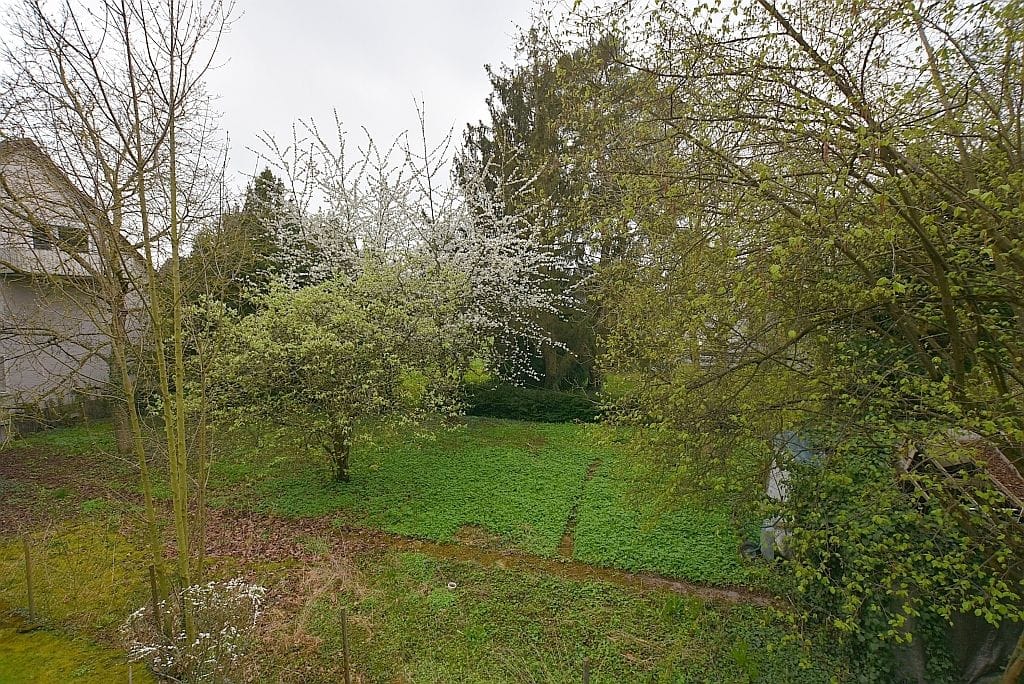 property detail images