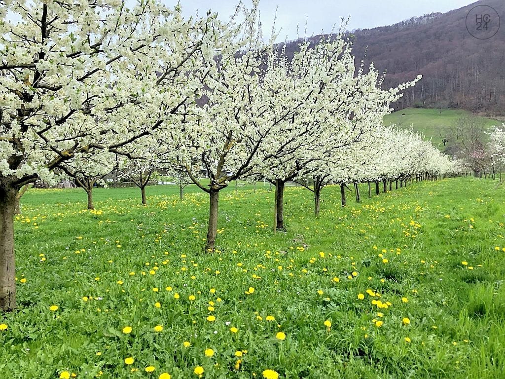 property detail images