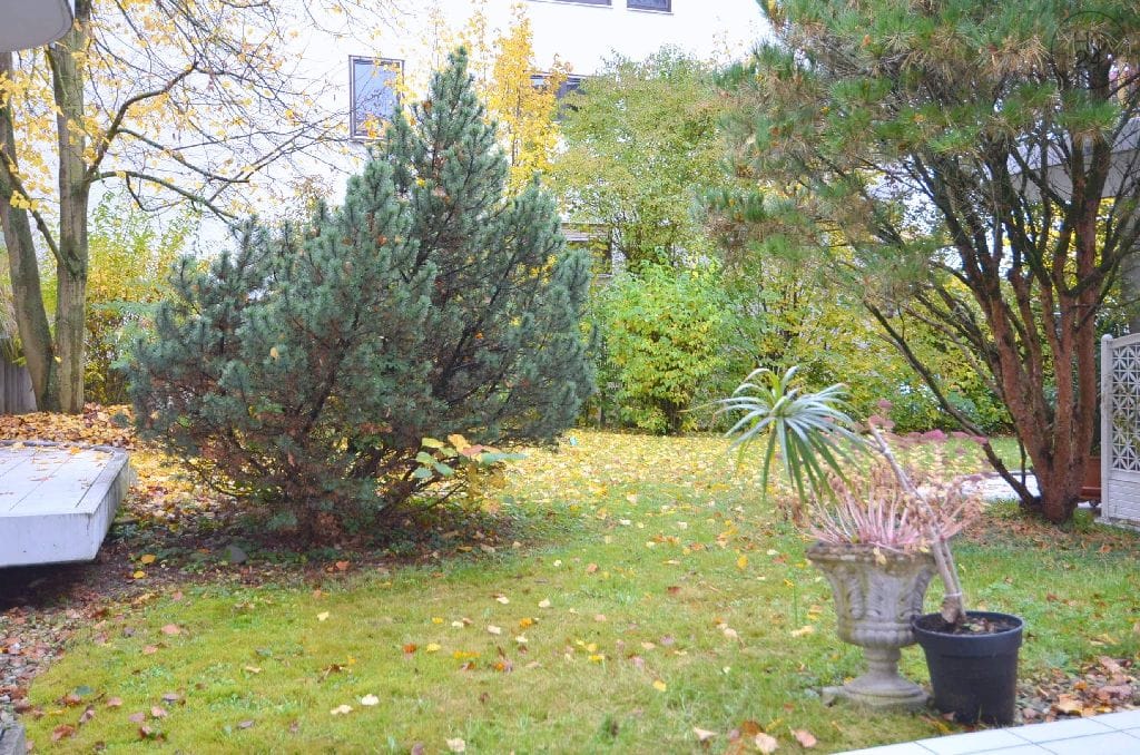 property detail images