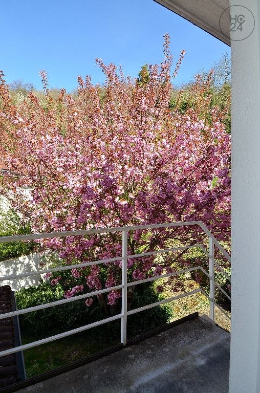 property detail images