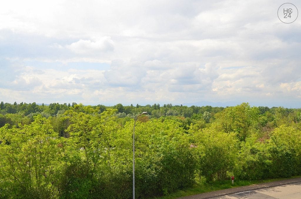 property detail images